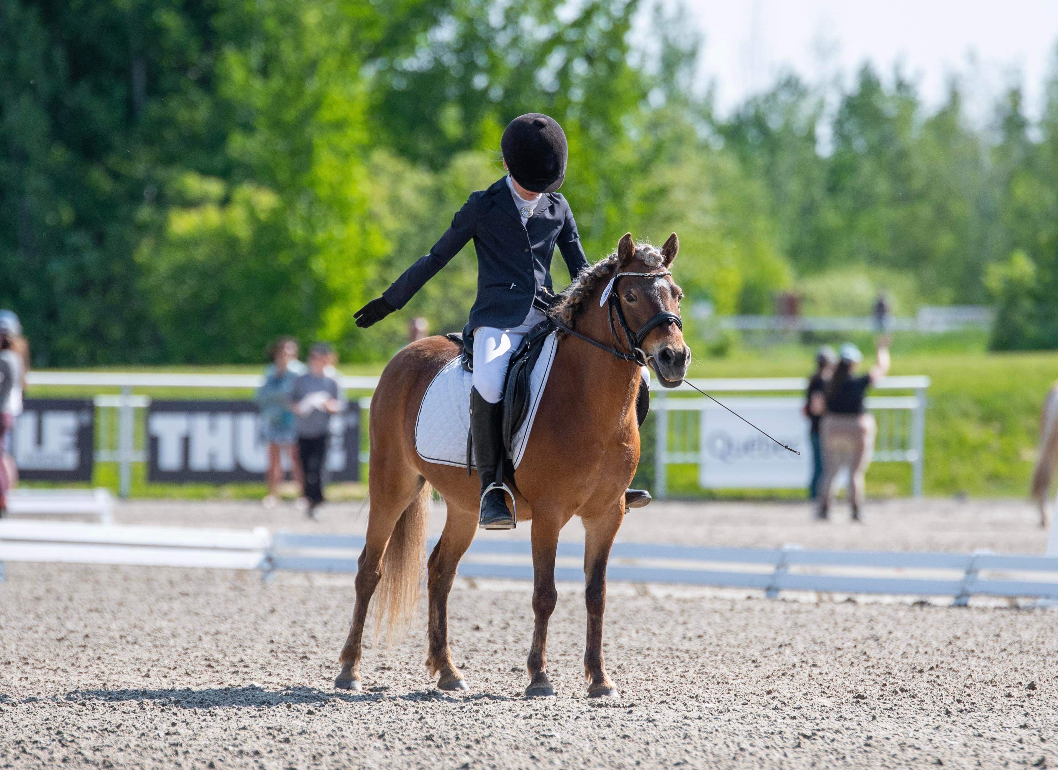 Dressage Bronze