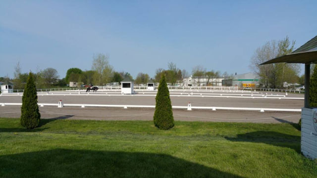 Concours de dressage