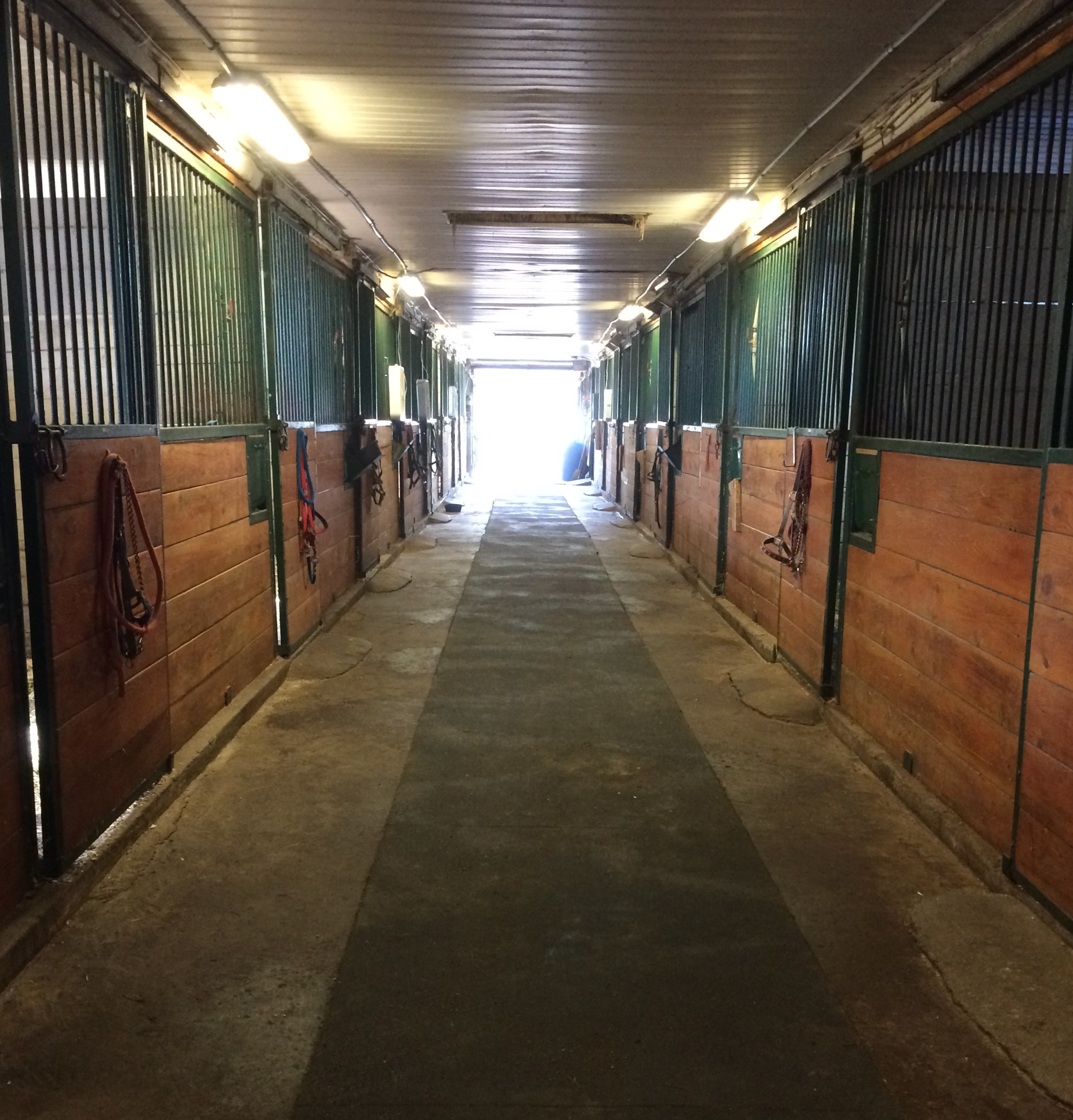 Pâturages extérieurs pour chevaux - St-Jean-sur-Richelieu